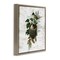 Stupell Industries Birds in Vintage Nest Floating Frame Design by Susan Arnot